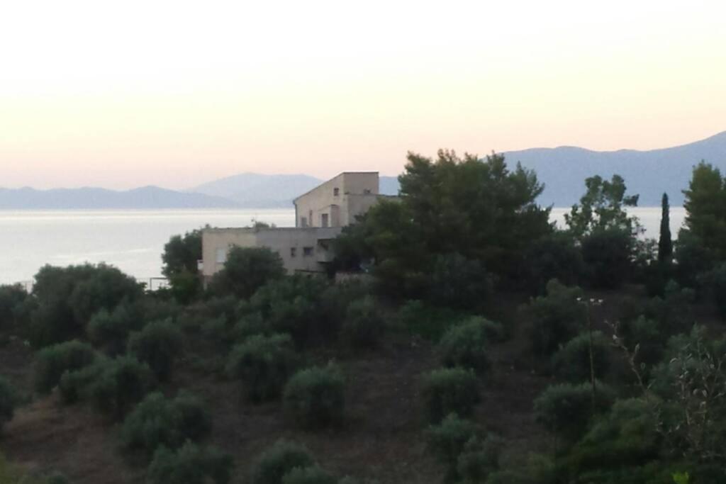Secluded House With Great View And Private Beach Theologos  Exteriör bild