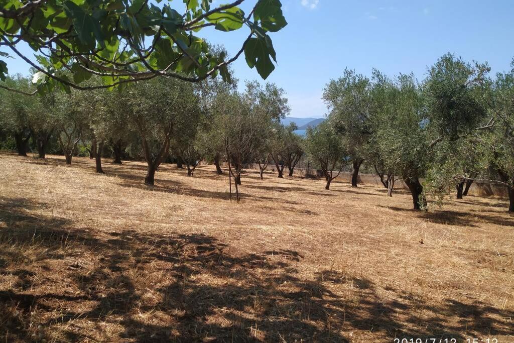 Secluded House With Great View And Private Beach Theologos  Exteriör bild