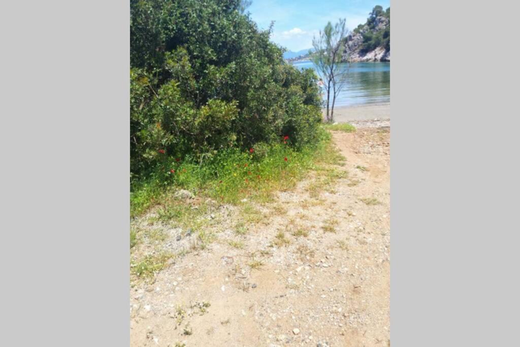 Secluded House With Great View And Private Beach Theologos  Exteriör bild